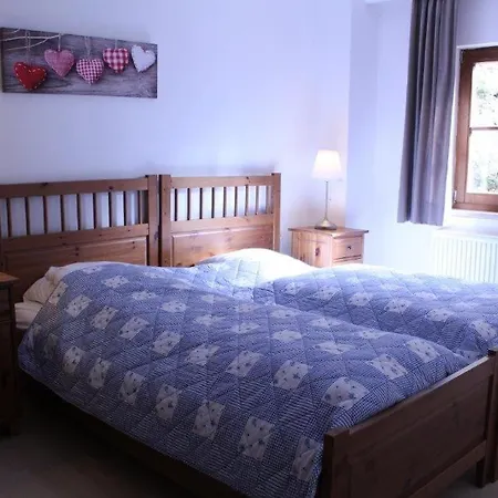 Haus Gamskar 木屋 巴德加斯坦